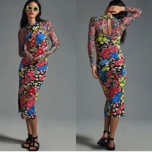 Anthropologie Stretch Floral and Mesh Dress
